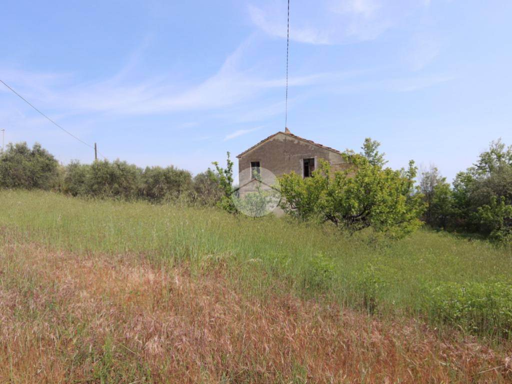 Terreno a Tortoreto in Via enzo ferrari - Foto 5