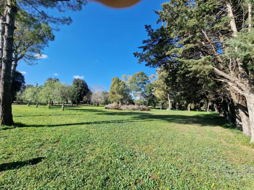 Rustico / casale a San cesario di lecce - Foto 4