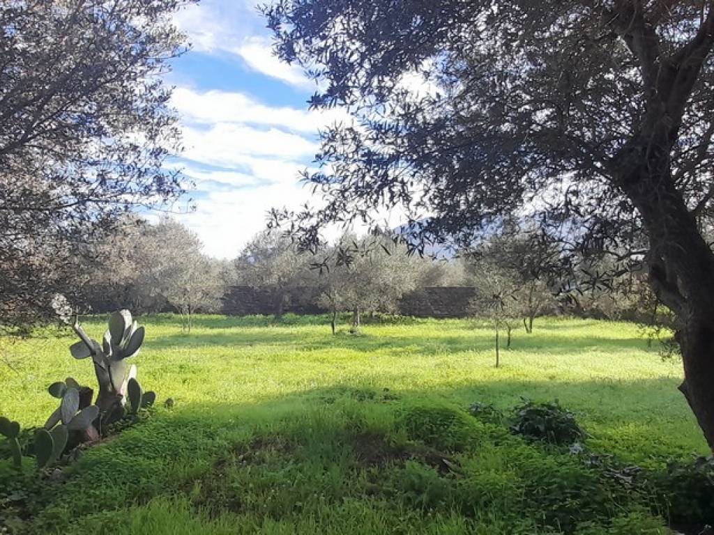 Terreno a Carini in Via Strada Statale 113 Est, 132 - Foto 2