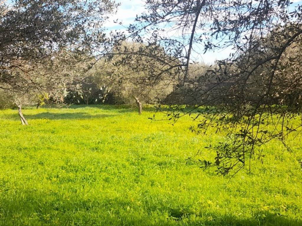 Terreno a Carini in Via Strada Statale 113 Est, 132 - Foto 3