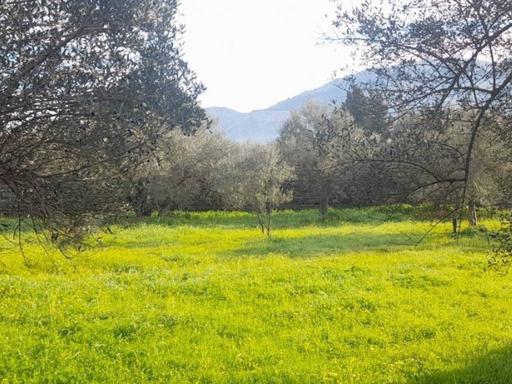 Terreno a Carini in Via Strada Statale 113 Est, 132 - Foto 4