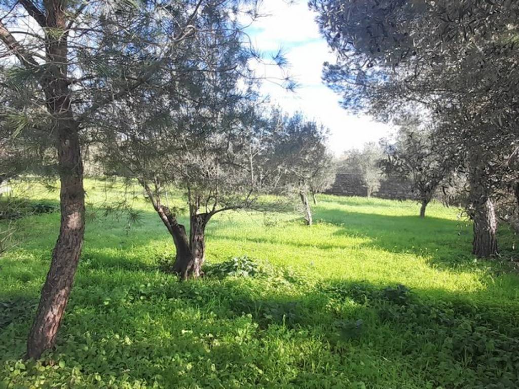 Terreno a Carini in Via Strada Statale 113 Est, 132 - Foto 5