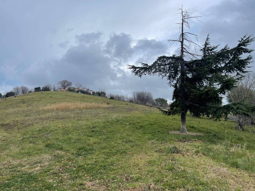 Rustico / casale a Ripatransone in Strada provinciale 32 - Foto 4