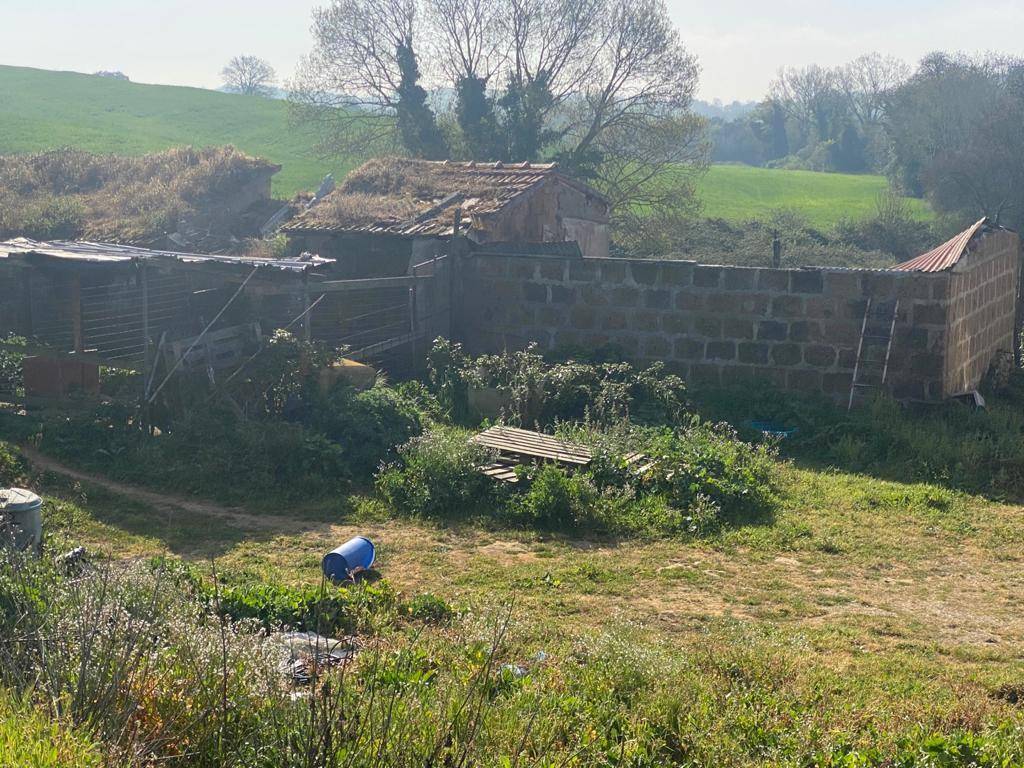 Rustico / casale a Magliano in toscana - Foto 3