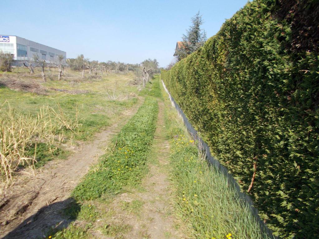 Terreno a Treglio in Severini - Foto 4