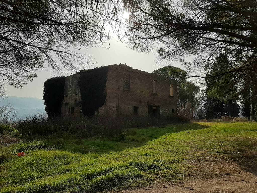 Rustico / casale a Spoleto in LOC.COLLICELLI - Foto 5