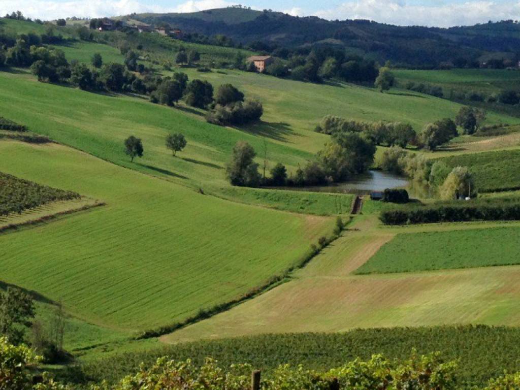 Terreno a Castelvetro di modena in Via Medusia - Foto 2