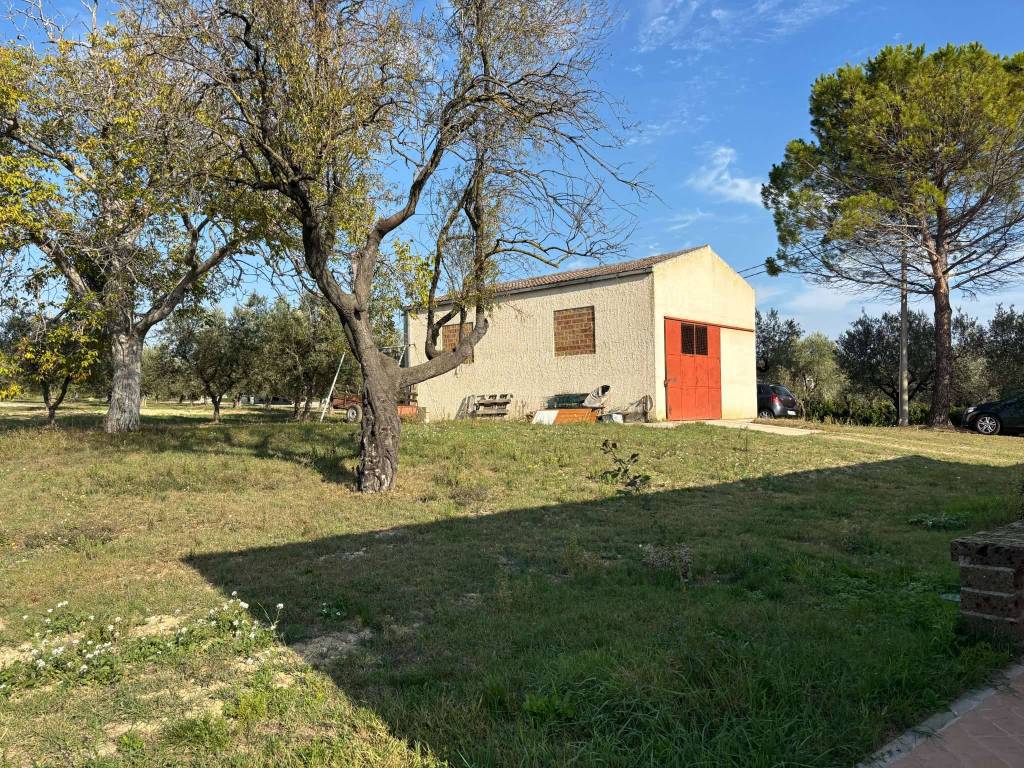 Rustico / casale a Loreto aprutino in contrada Gallo - Foto 3