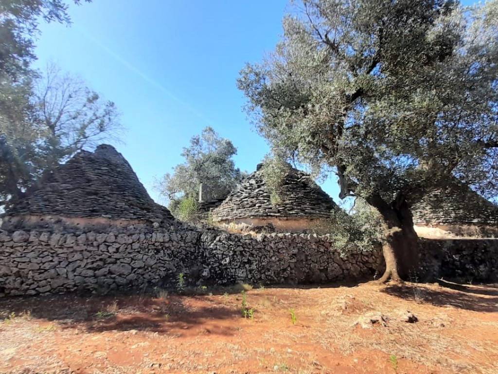 Rustico / casale a Ceglie messapica in SP26 - Foto 4