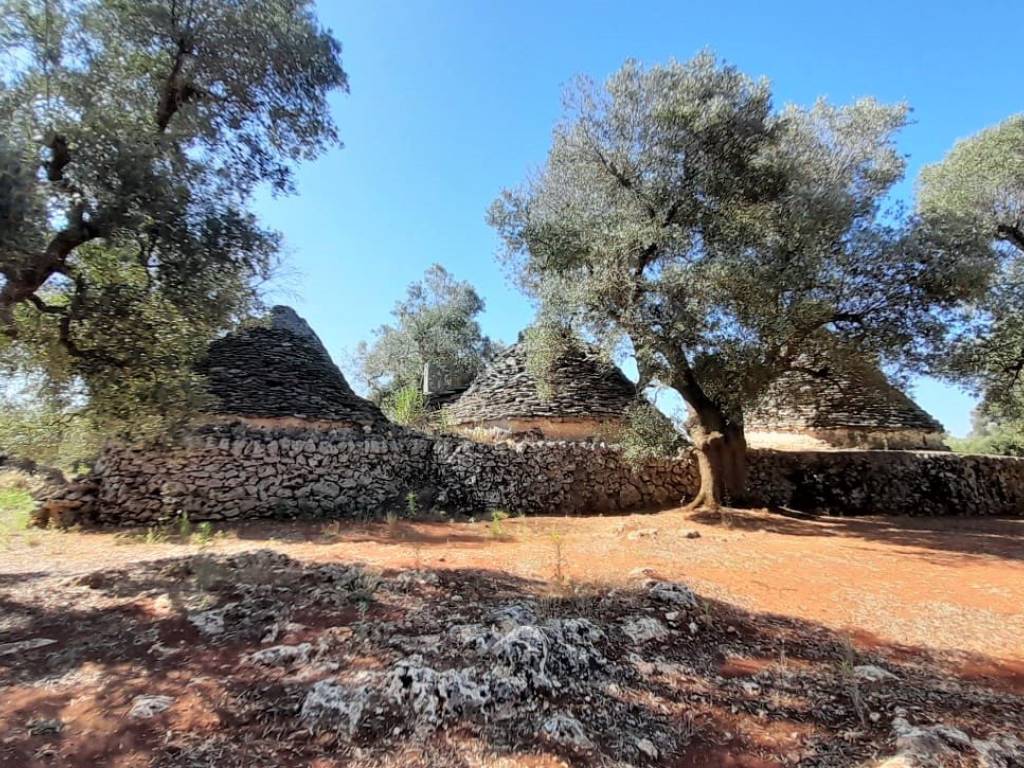 Rustico / casale a Ceglie messapica in SP26 - Foto 5