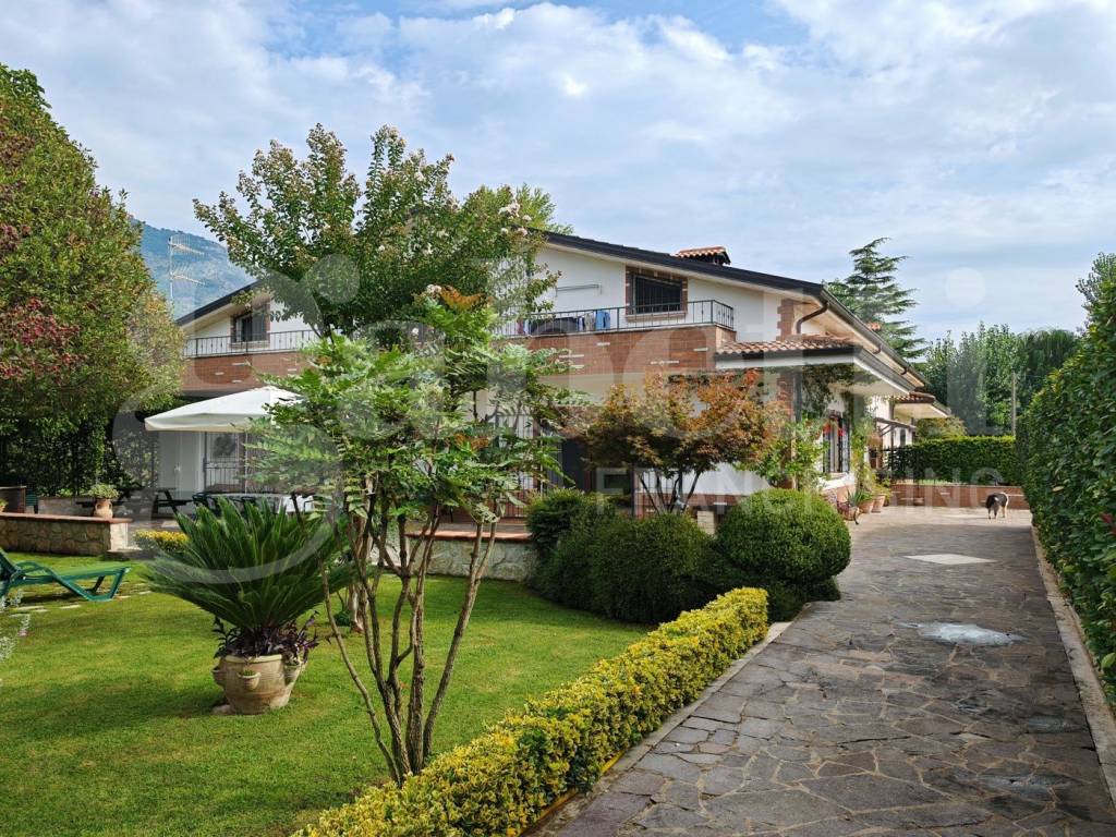 immagine di copertina