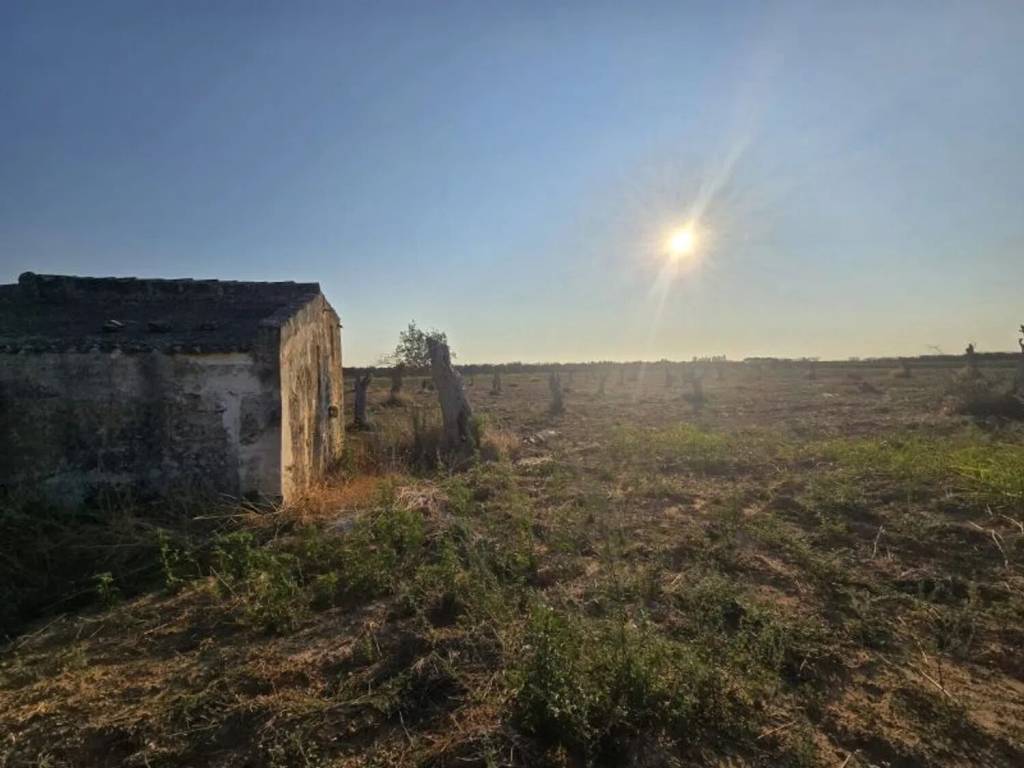 Terreno a Lecce - Foto 3