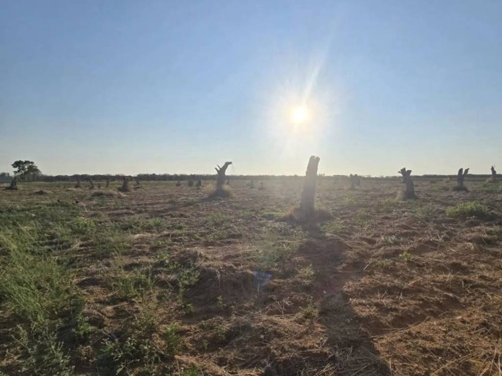 Terreno a Lecce - Foto 4