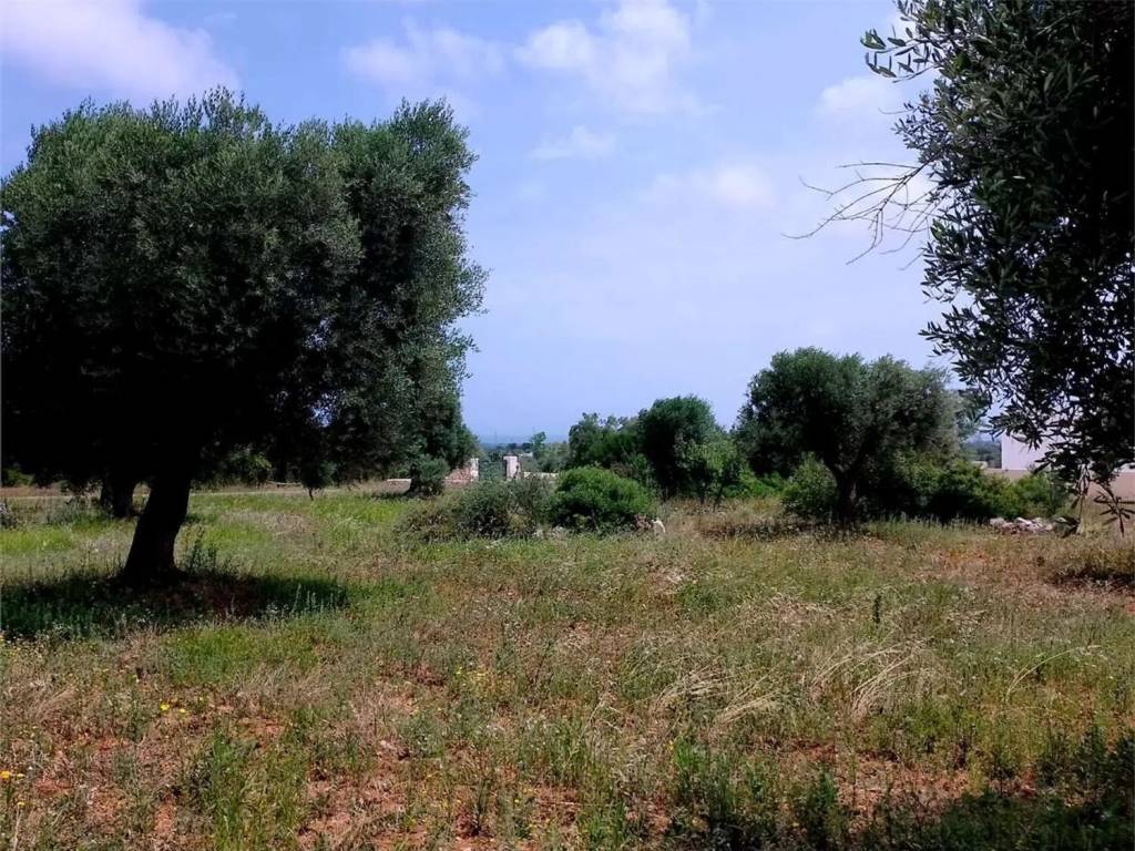 Terreno a Carovigno - Foto 2