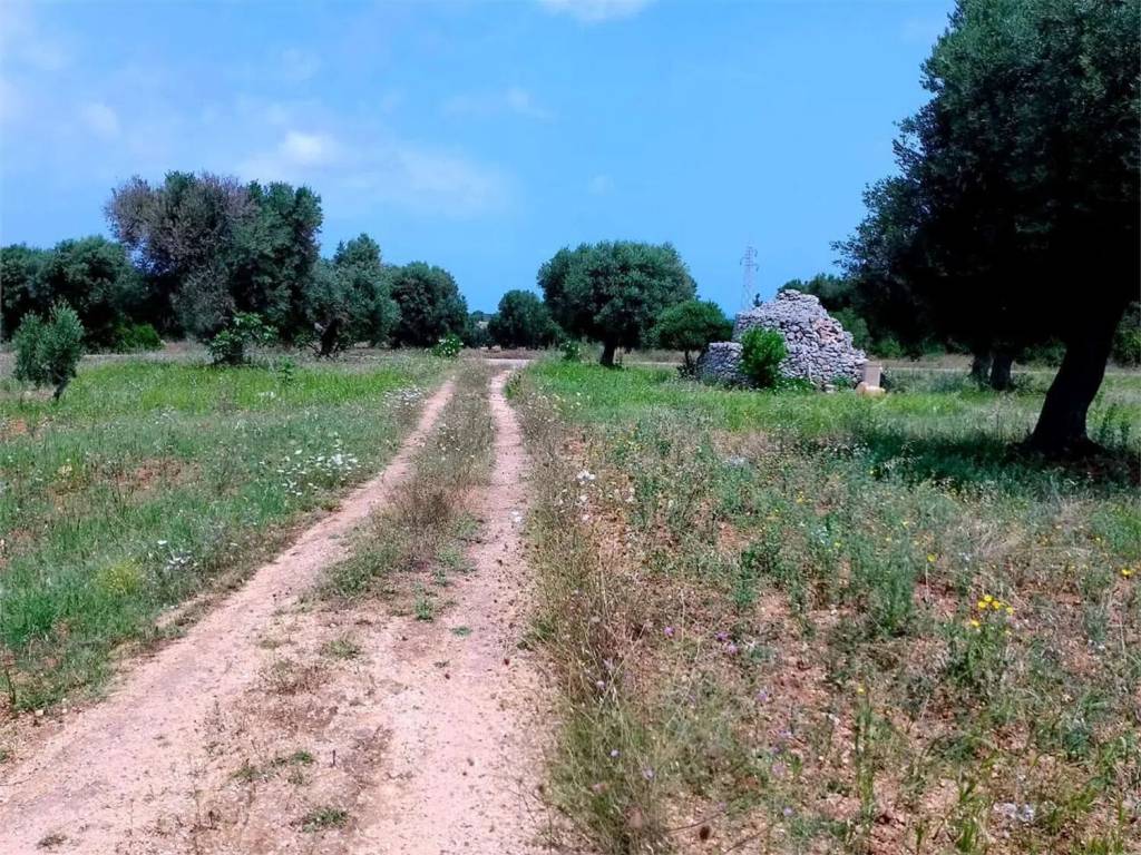 Terreno a Carovigno - Foto 3