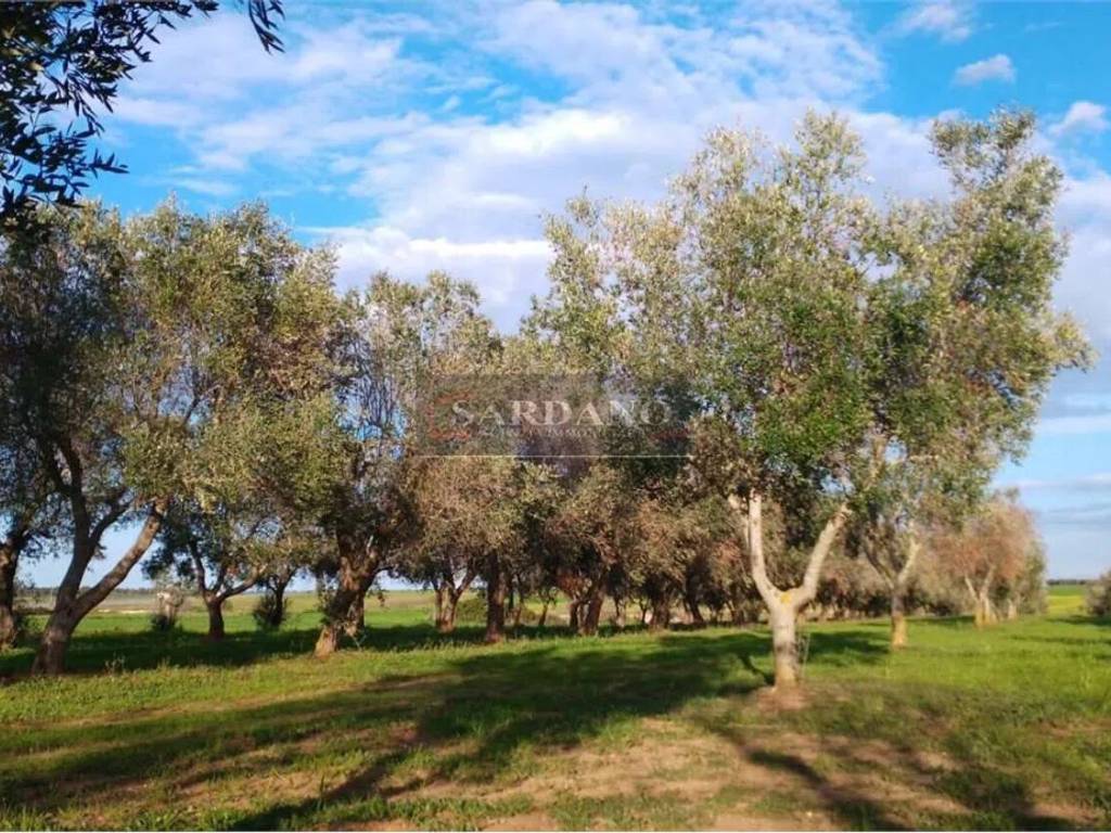 Terreno a Brindisi in Via Apani No Number - Foto 5