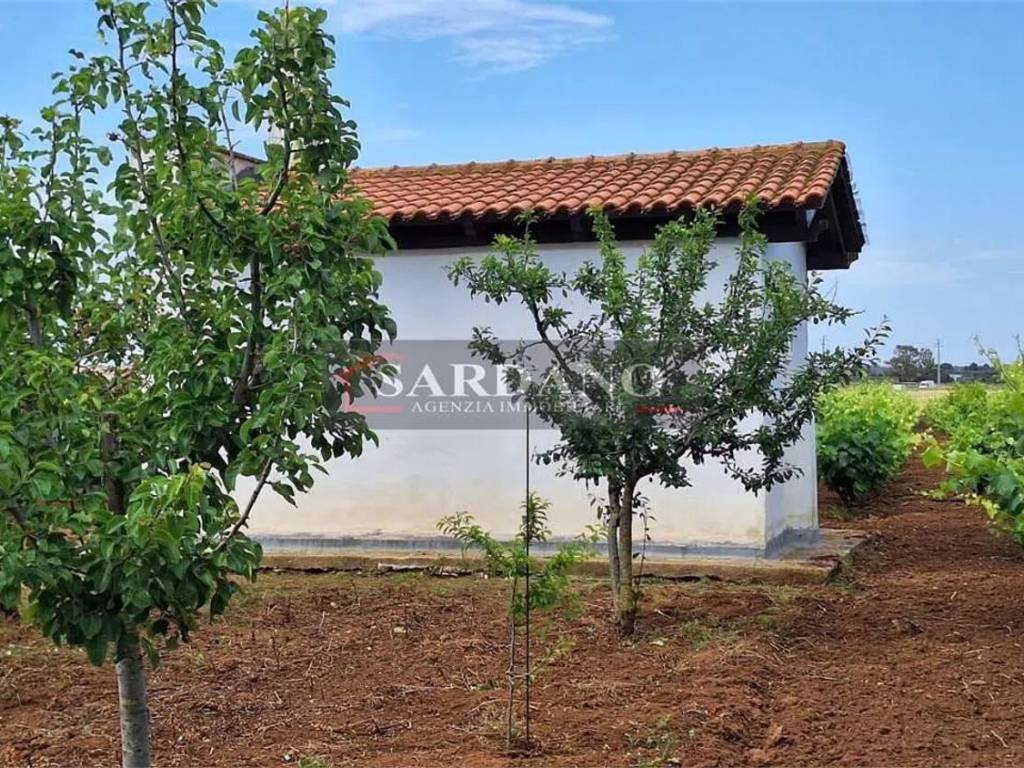 Terreno a Brindisi - Foto 2