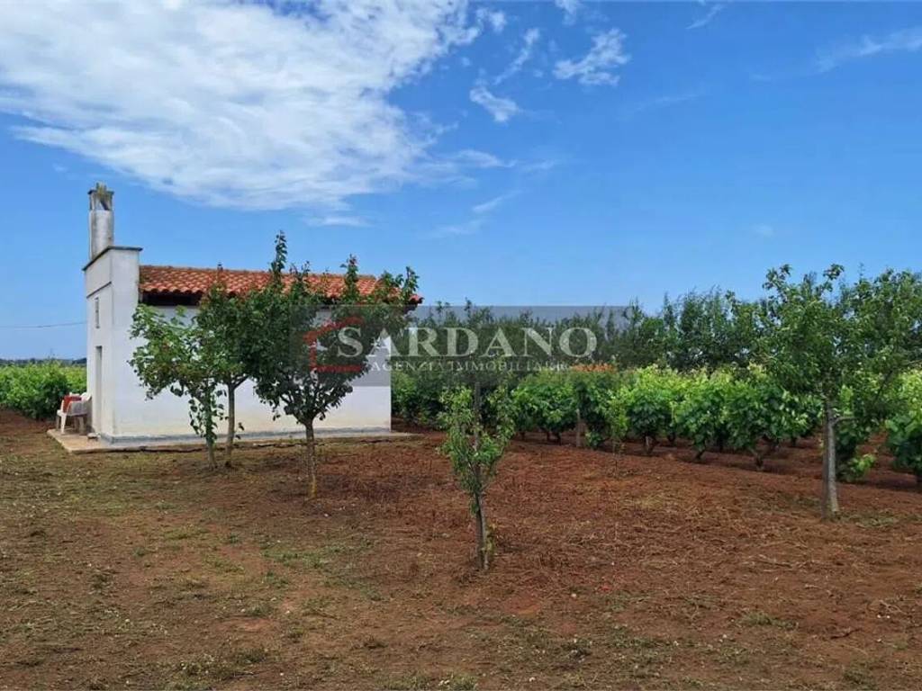 Terreno a Brindisi - Foto 4
