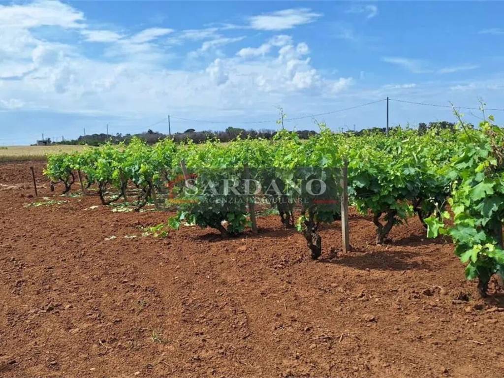 Terreno a Brindisi - Foto 5