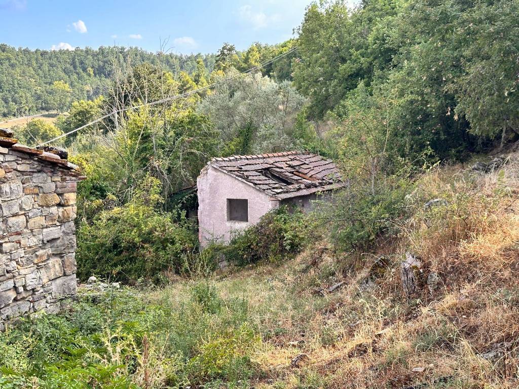 Rustico / casale a Piegaro in Via Cavalieri di Vittorio Veneto, 16 - Foto 5