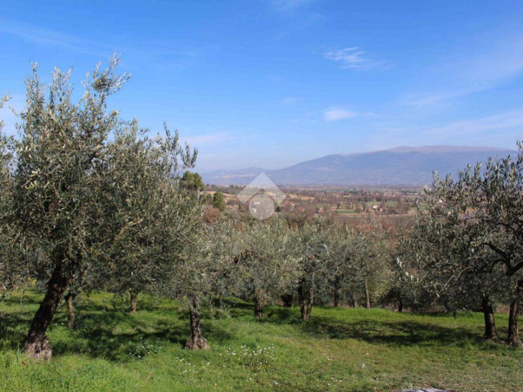 Casa indipendente a Bevagna in Via Pomontina - Foto 4