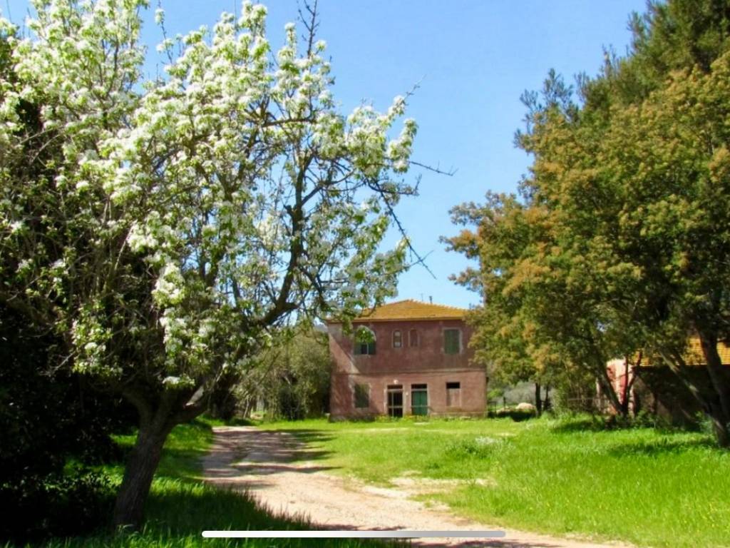 Rustico / casale a Magliano in toscana in Strada Vicinale Valentina - Foto 4