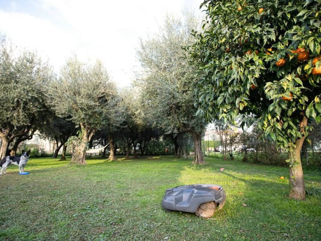 Villetta a schiera a Seravezza in Via Olmi - Foto 3