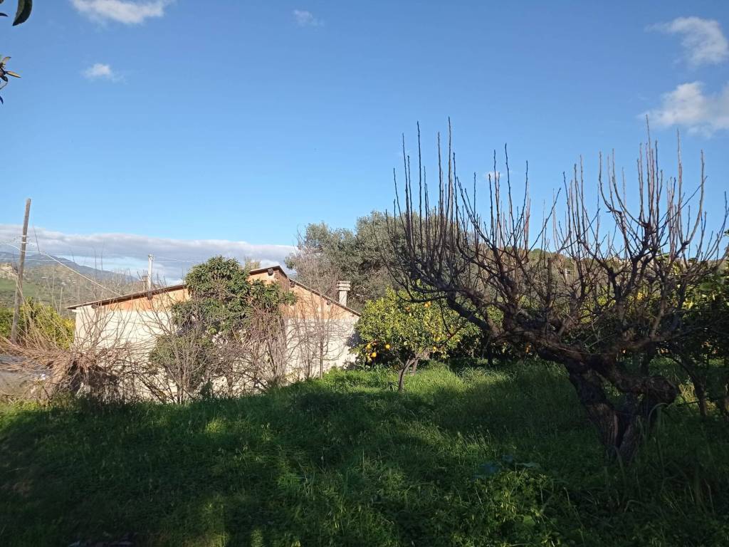 Terreno a Caulonia in 89041 Caulonia RC, Italia - Foto 2