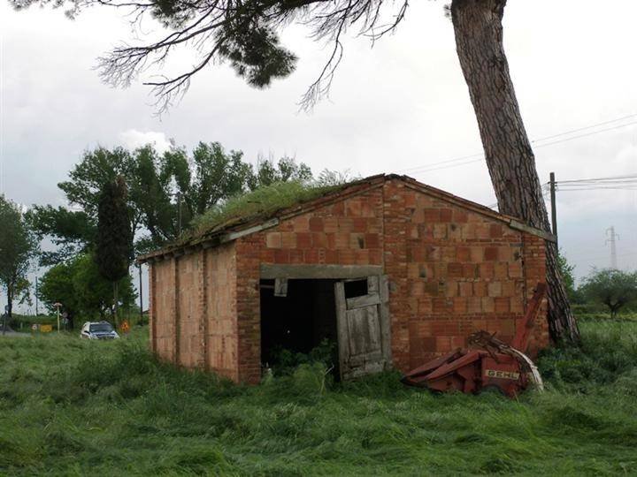Rustico / casale a Sinalunga - Foto 2
