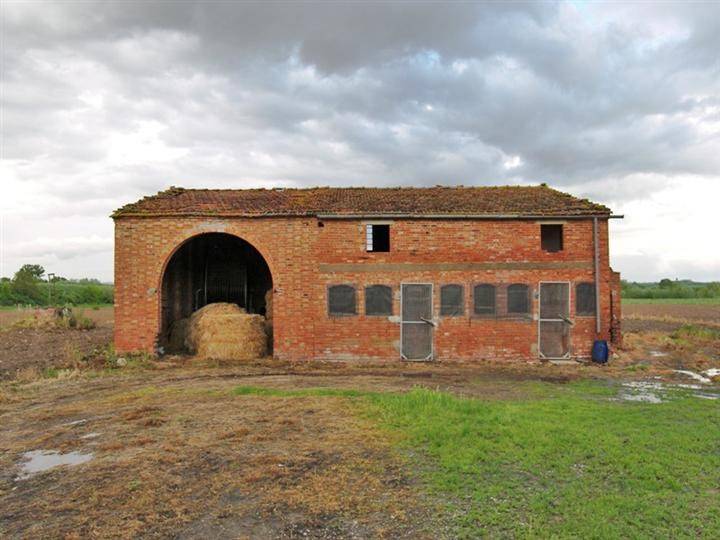 Rustico / casale a Sinalunga - Foto 5