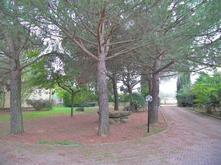 Villa a Cortona - Foto 3
