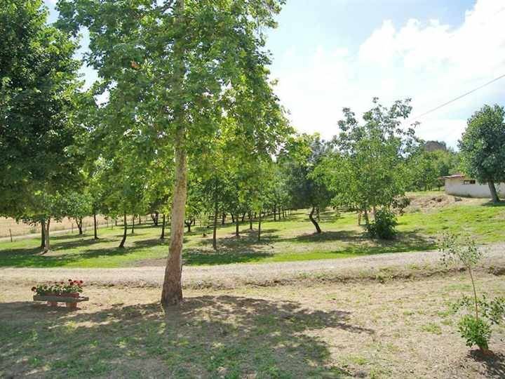 Rustico / casale a Castelfranco piandisco - Foto 2