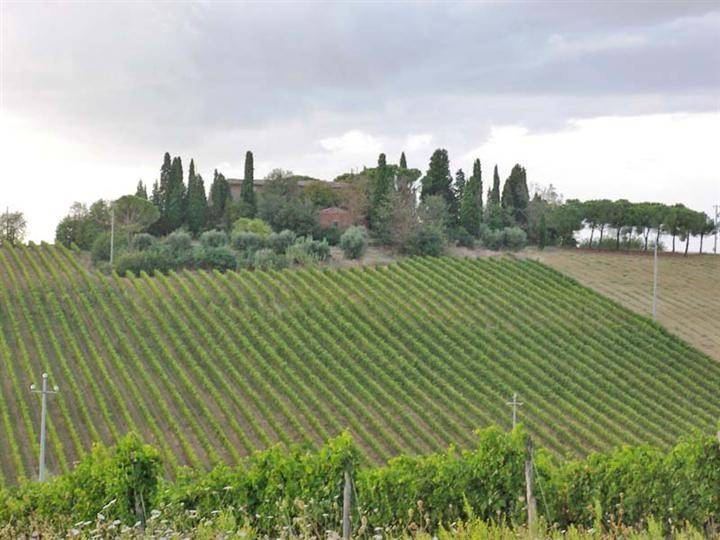 Rustico / casale a Montepulciano - Foto 2