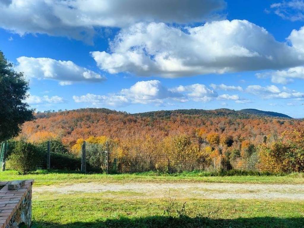 Rustico / casale a Asciano - Foto 2