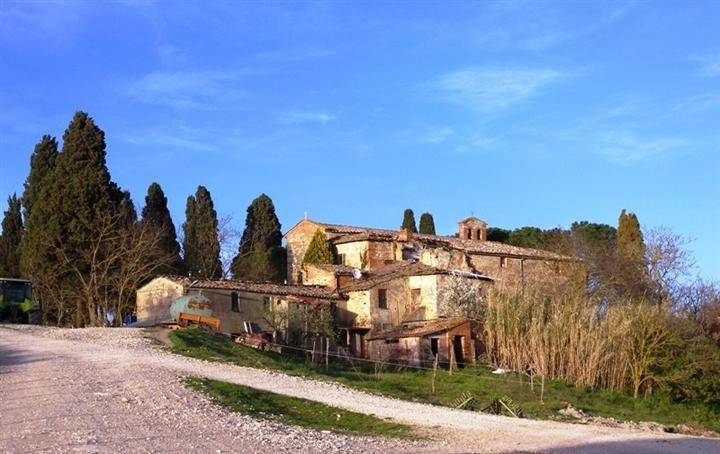 Terreno a Asciano - Foto 2