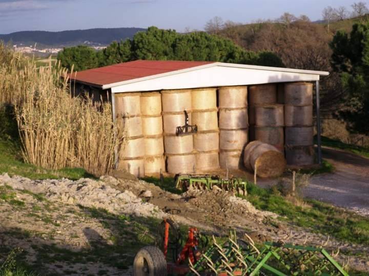 Terreno a Asciano - Foto 5