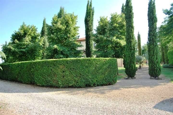 Immobile a Montepulciano - Foto 3