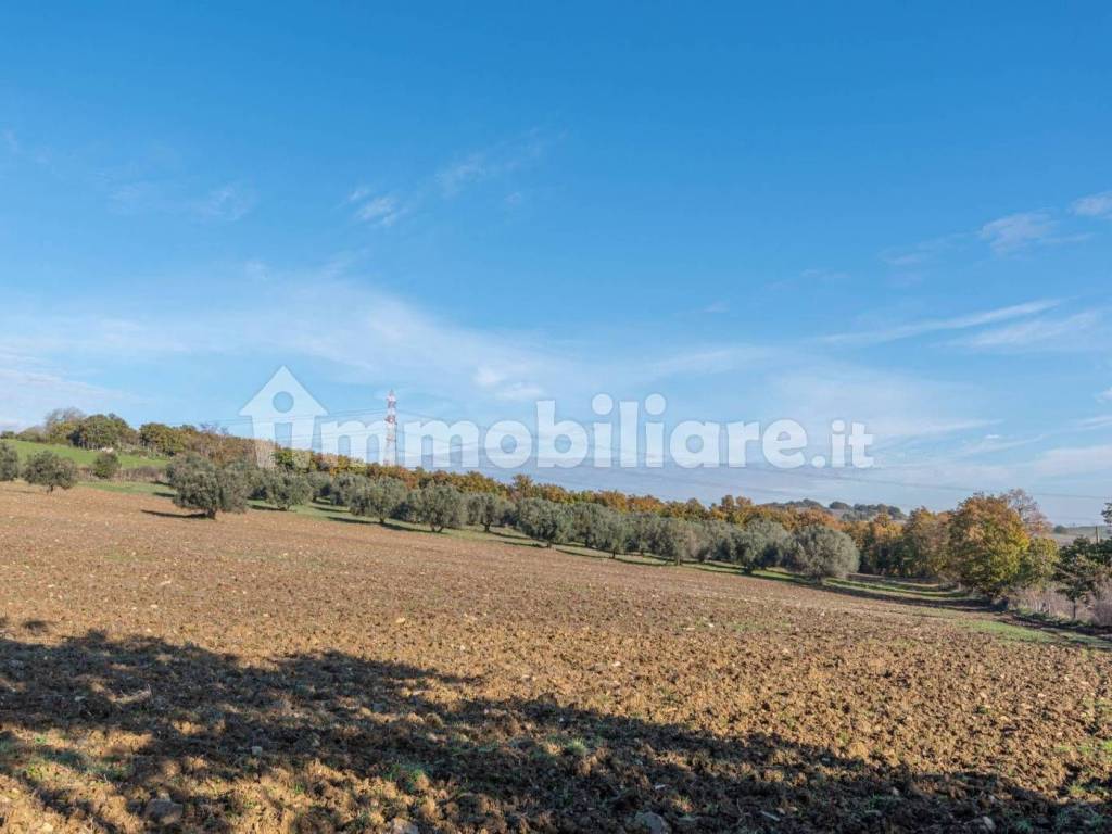 Terreno a Monte romano in Via Madonnella - Foto 2
