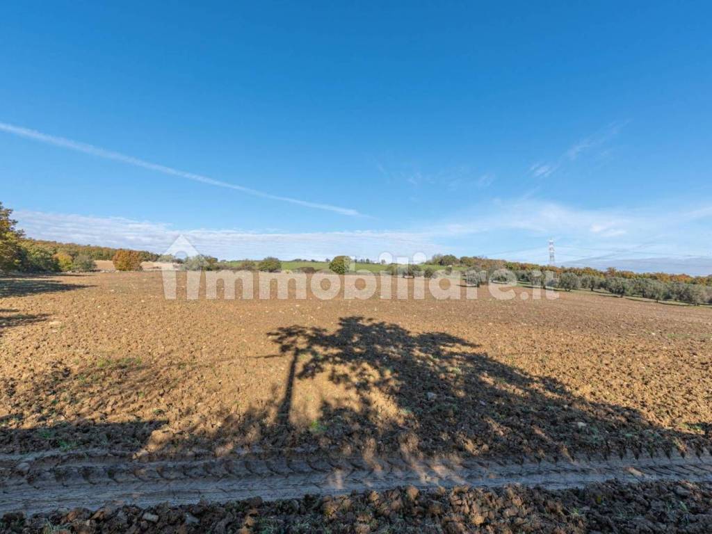 Terreno a Monte romano in Via Madonnella - Foto 3