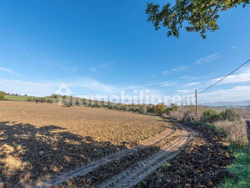 Terreno a Monte romano in Via Madonnella - Foto 4