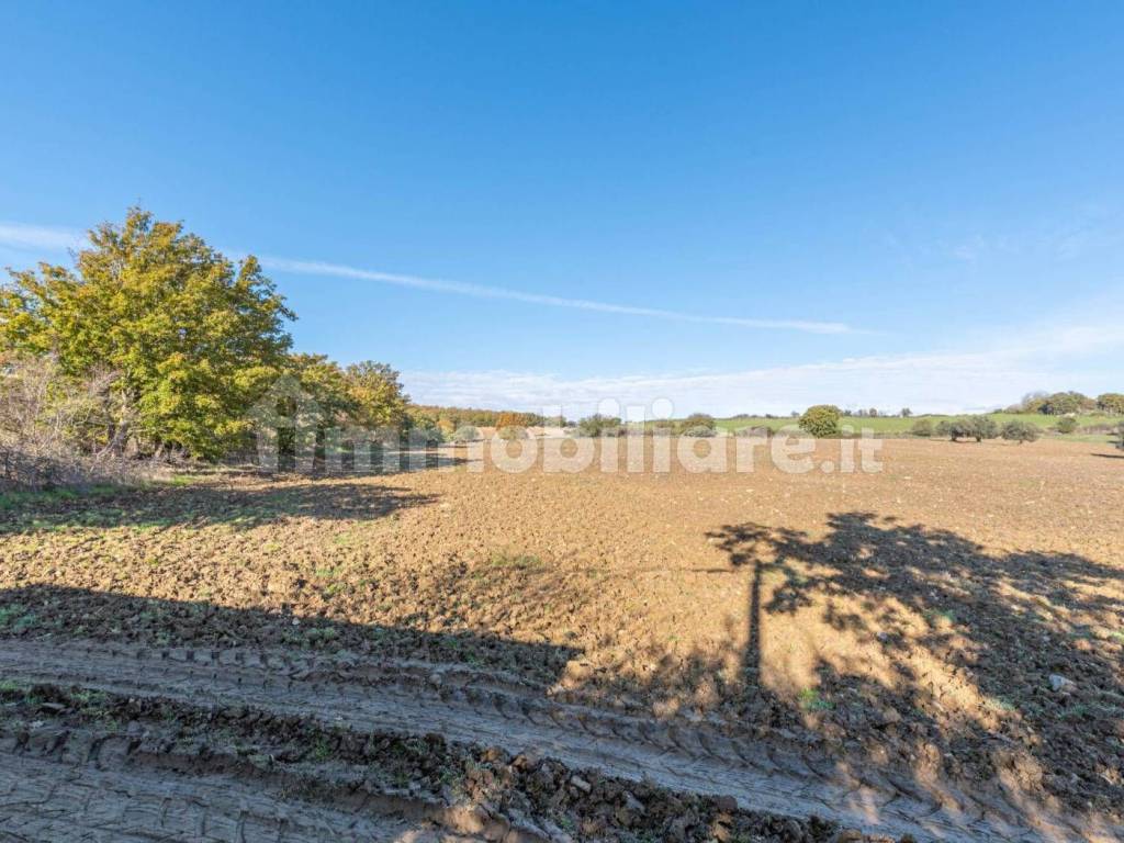Terreno a Monte romano in Via Madonnella - Foto 5