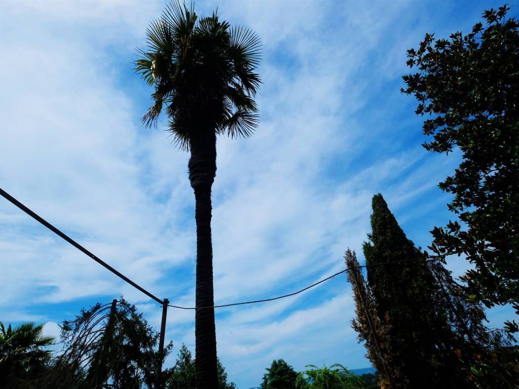 Casa indipendente a Foiano della chiana - Foto 3