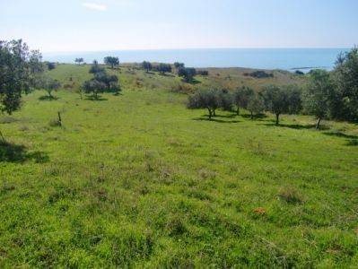 Terreno a Sciacca - Foto 2