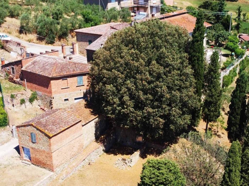 Rustico / casale a Sinalunga - Foto 4