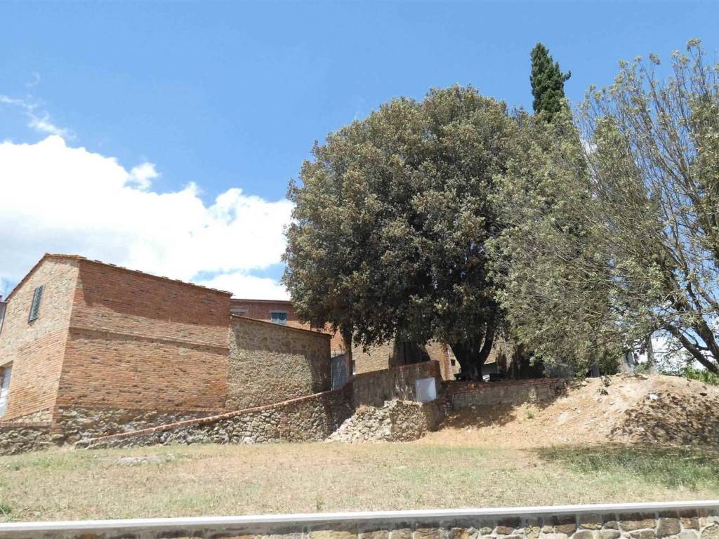 Rustico / casale a Sinalunga - Foto 5