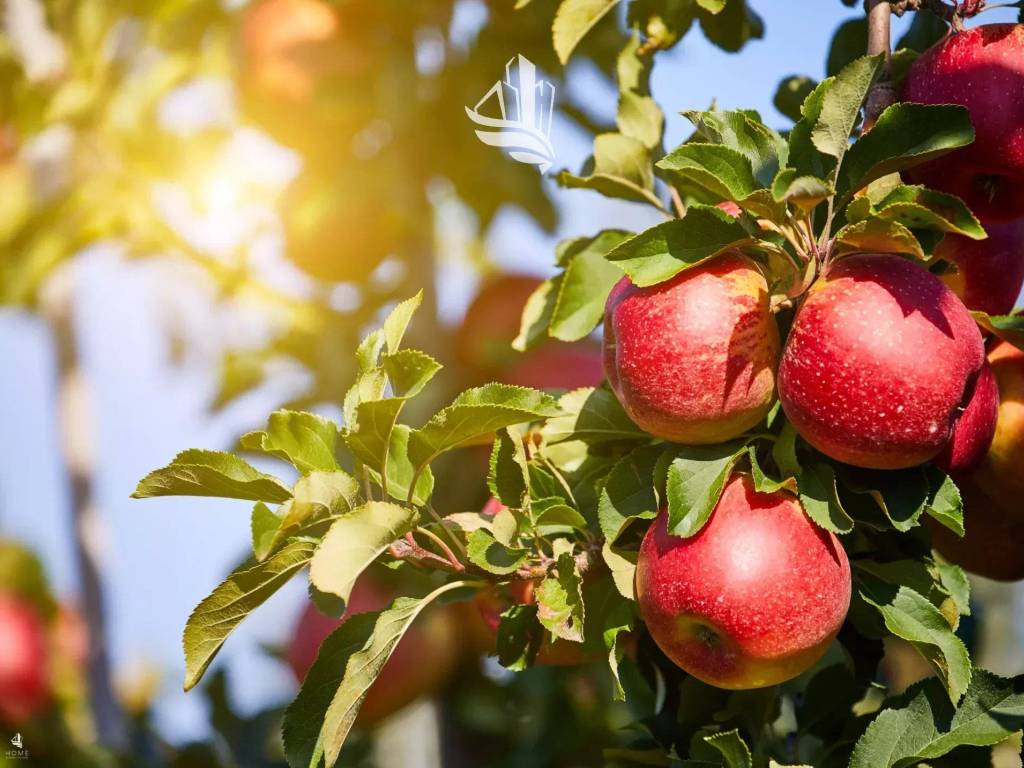 Terreno a Ora - Foto 3