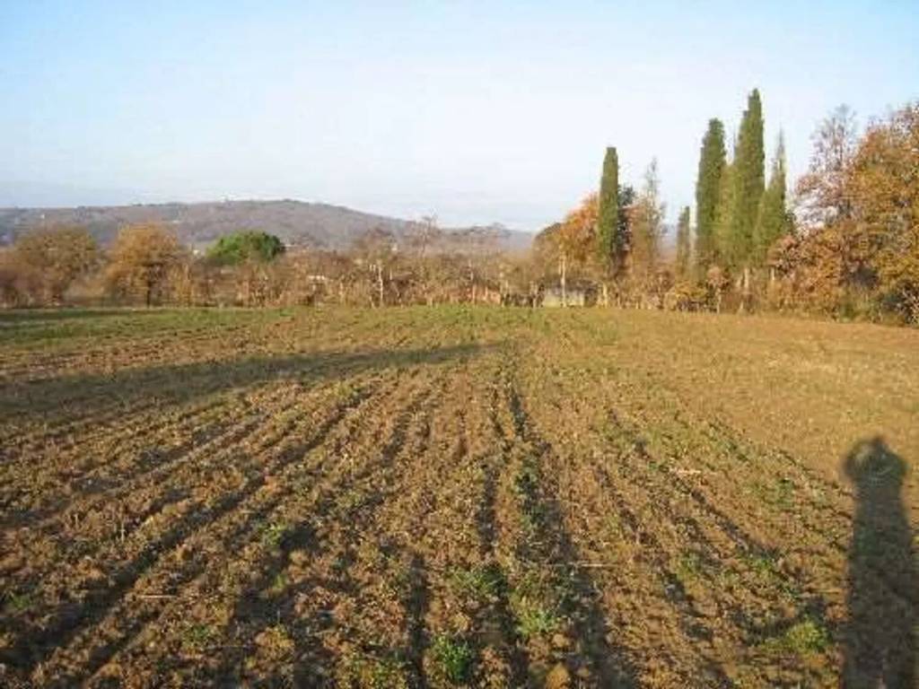 Terreno a Lucignano in Via Antonio Gramsci - Foto 2