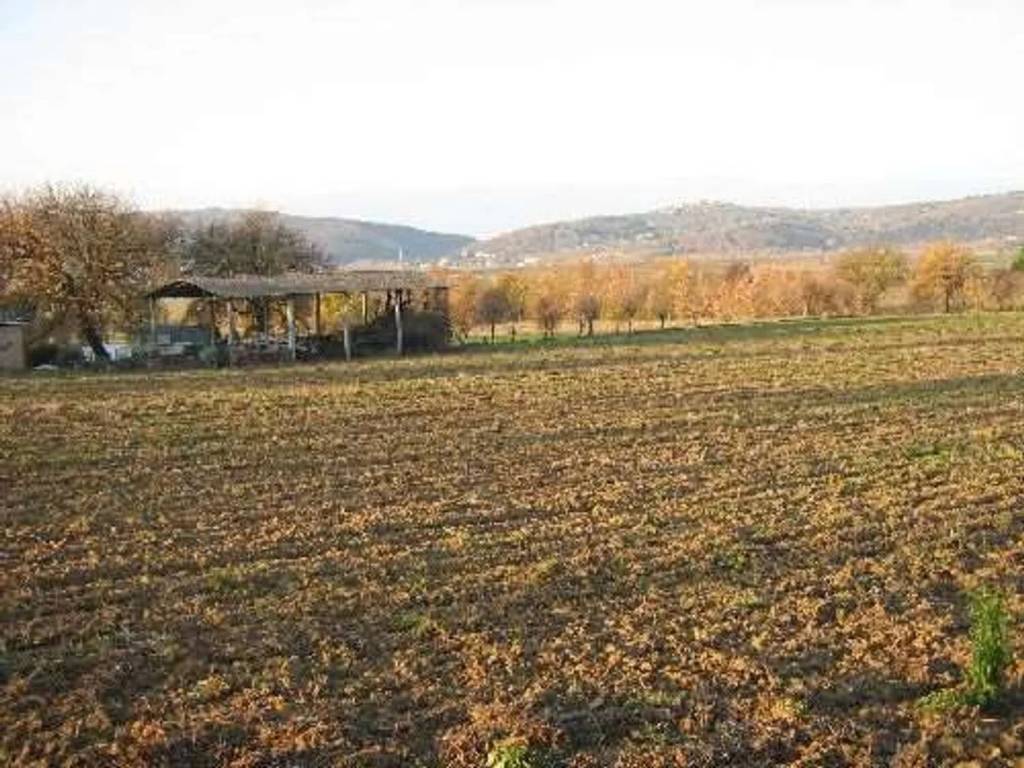 Terreno a Lucignano in Via Antonio Gramsci - Foto 3