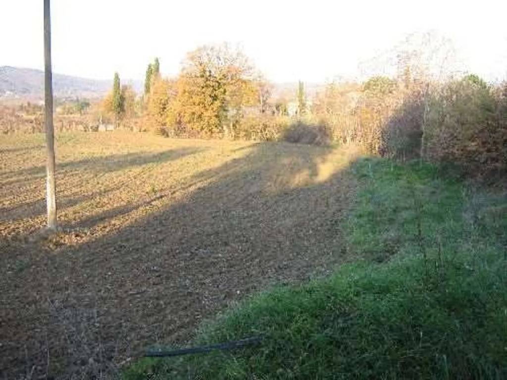 Terreno a Lucignano in Via Antonio Gramsci - Foto 4