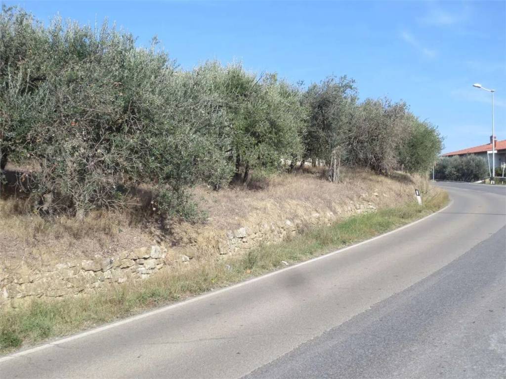 Terreno a Lucignano in Via Dei Procacci - Foto 3